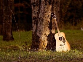 چرا نباید در طبیعت موسیقی با صدای بلند گوش دهیم؟