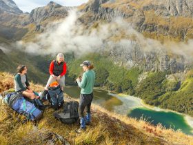 بهترین فعالیت ها در طبیعت گردی