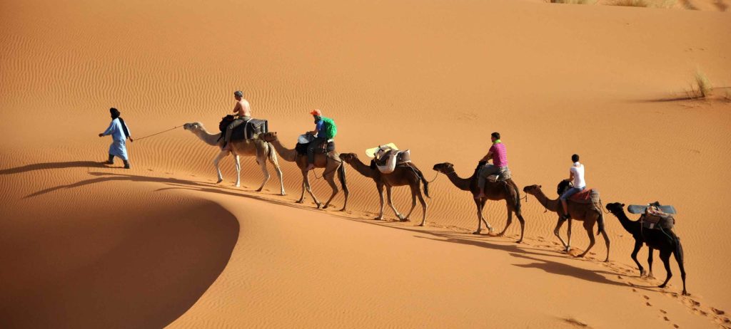 کویر گردی چیست؟