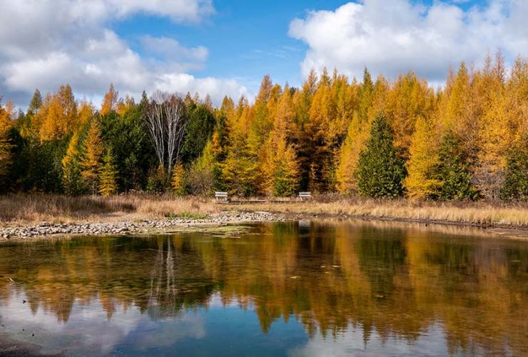 امکانات مورد نیاز برای یک ماه در طبیعت بودن