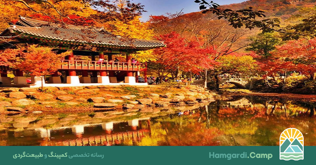 مناطق دیدنی کره جنوبی، کشف زیبایی‌های طبیعی و فرهنگی 