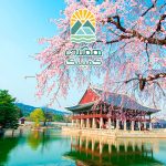 مناطق دیدنی کره جنوبی، کشف زیبایی‌های طبیعی و فرهنگی