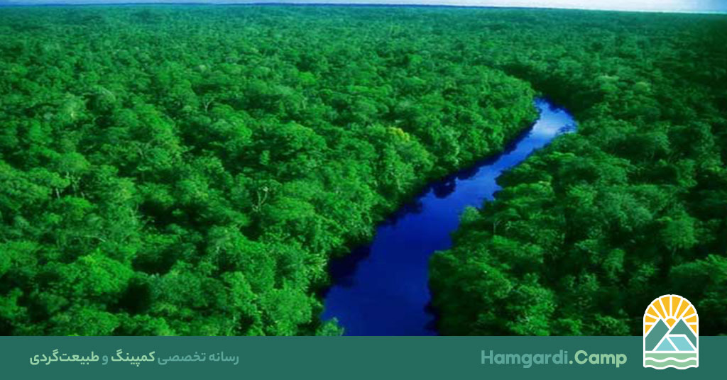 رنگ آمیزی فصل ها در طبیعت، هنر تغییرات رنگی در هر فصل