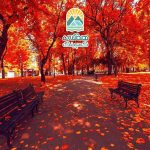 رنگ آمیزی فصل ها در طبیعت، هنر تغییرات رنگی در هر فصل