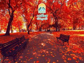 رنگ آمیزی فصل ها در طبیعت، هنر تغییرات رنگی در هر فصل