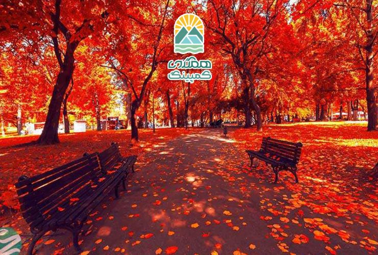 رنگ آمیزی فصل ها در طبیعت، هنر تغییرات رنگی در هر فصل