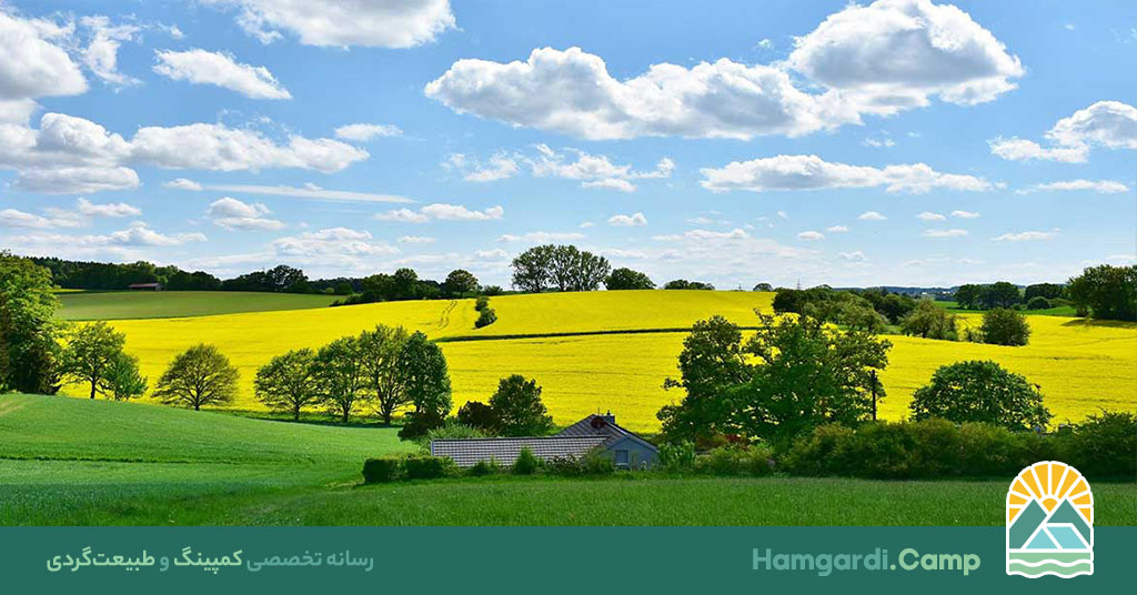 هوای تازه و خنک، راز شادابی و سلامت در دنیای پرهیاهو