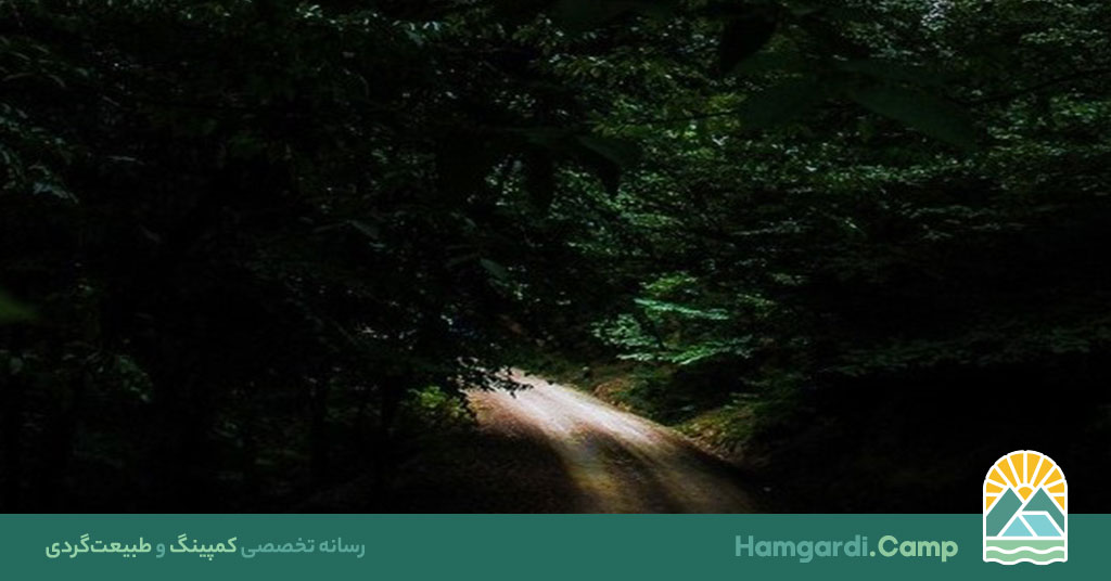 راه های پنهان در جنگل، جست‌وجوی اسرار طبیعت