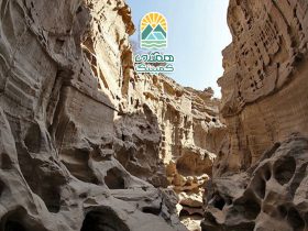 سفر به اعماق دره ها، تجربه‌ای شگفت‌انگیز از دنیای زیرین