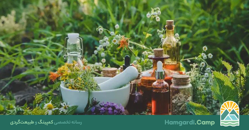 داروهای مورد نیاز در طول سفر زمینی + معرفی 6 دارو موثر