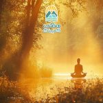 مراقبه در دل جنگل، تجربه‌ای از آرامش و اتصال عمیق با طبیعت