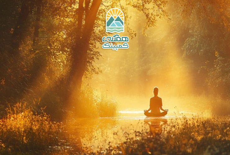 مراقبه در دل جنگل، تجربه‌ای از آرامش و اتصال عمیق با طبیعت
