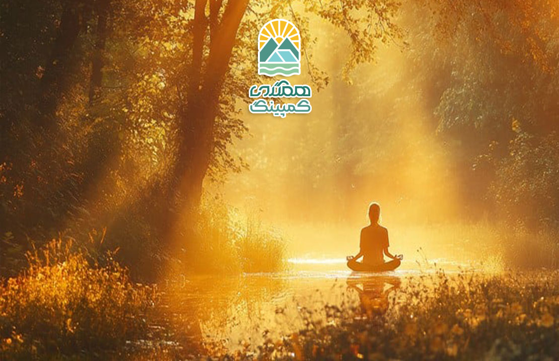 مراقبه در دل جنگل، تجربه‌ای از آرامش و اتصال عمیق با طبیعت