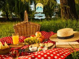 پیک نیک در طبیعت، تجربه‌ای از آرامش و ارتباط با زمین