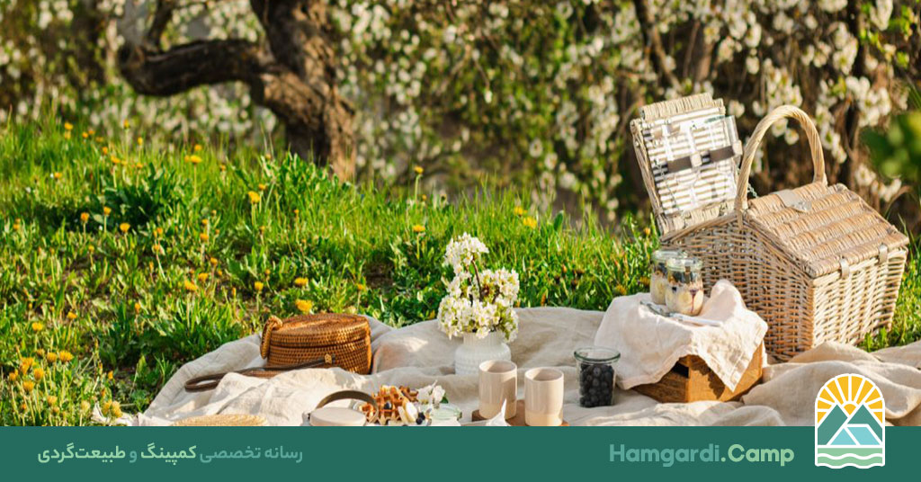 پیک نیک در طبیعت، تجربه‌ای از آرامش و ارتباط با زمین