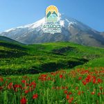 گشت و گذار در دشت گل، تجربه‌ای از زیبایی و آرامش طبیعت