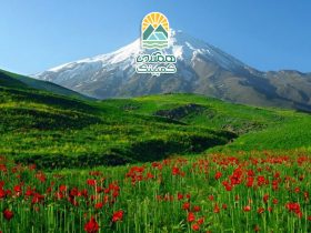 گشت و گذار در دشت گل، تجربه‌ای از زیبایی و آرامش طبیعت