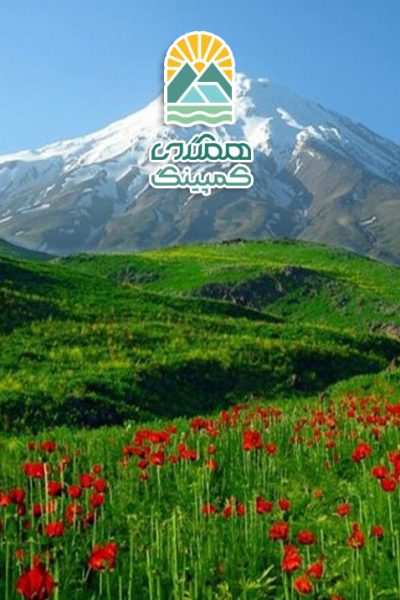 گشت و گذار در دشت گل، تجربه‌ای از زیبایی و آرامش طبیعت
