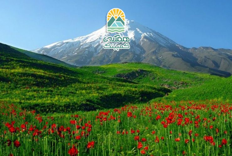 گشت و گذار در دشت گل، تجربه‌ای از زیبایی و آرامش طبیعت