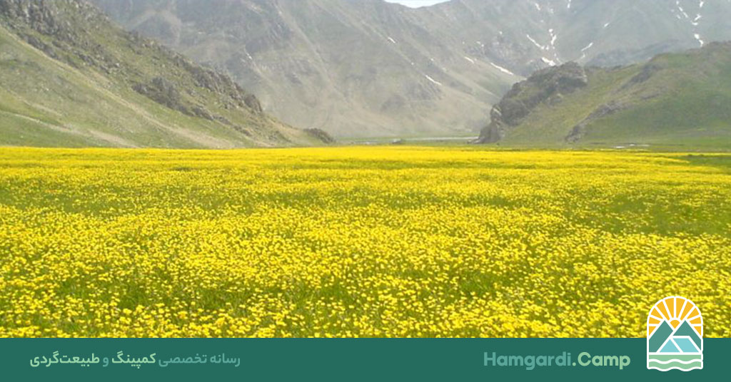 گشت و گذار در دشت گل، تجربه‌ای از زیبایی و آرامش طبیعت