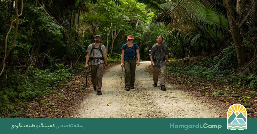 تعطیلات در دل جنگل، تجربه‌ای بی‌نظیر از آرامش و طبیعت