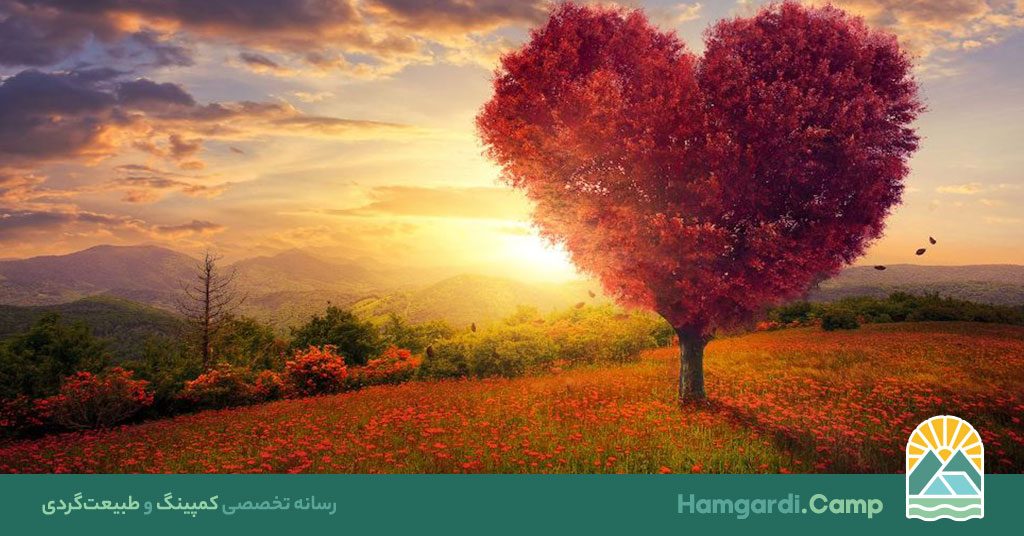 روحیه جدید در دل طبیعت، پیدا کردن آرامش و تجدید حیات