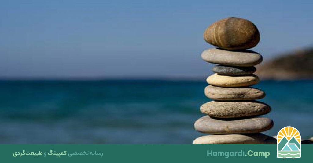 تعادل در طبیعت: راز بقای اکوسیستمها