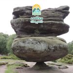 تعادل در طبیعت: راز بقای اکوسیستم‌ها