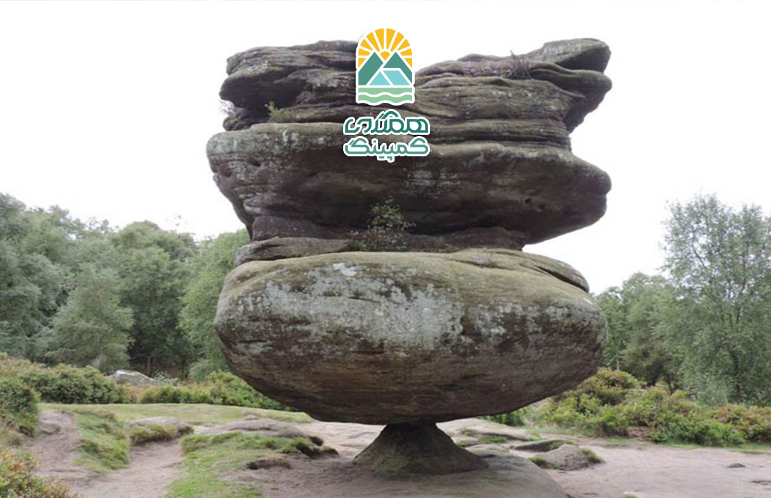 تعادل در طبیعت: راز بقای اکوسیستمها