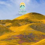 تغییرات زیستی در طبیعت