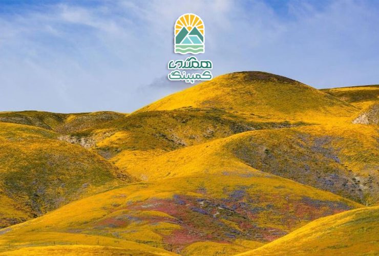 تغییرات زیستی در طبیعت