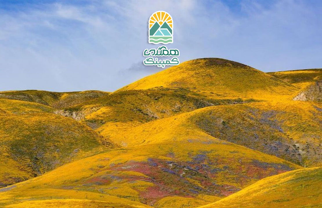 تغییرات زیستی در طبیعت