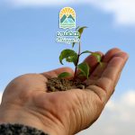 آگاهی طبیعی و ارتباط با محیط سبز