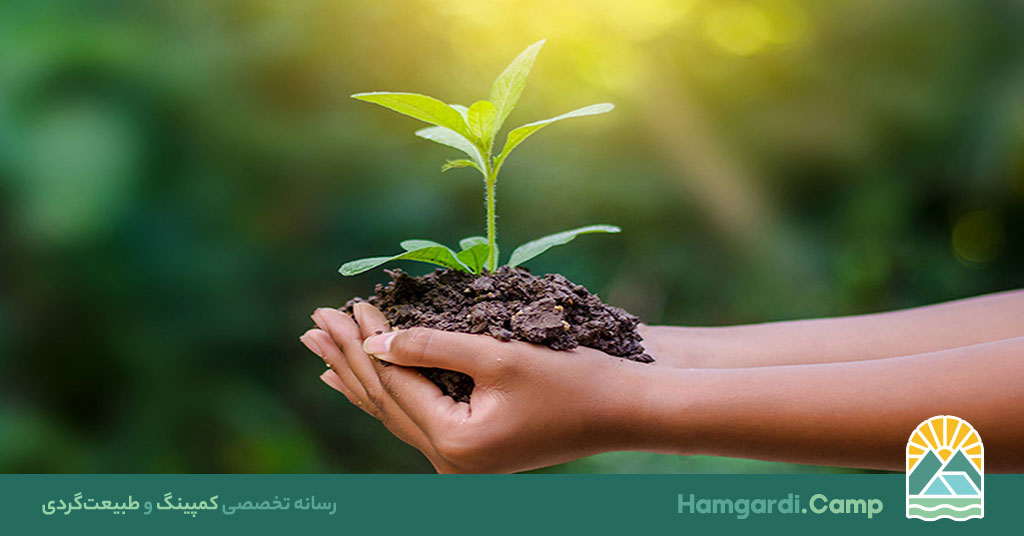 آگاهی طبیعی و ارتباط با محیط سبز