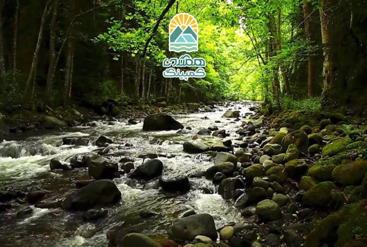 انرژی طبیعت در مدیتیشن: تاثیرات و فواید آن بر ذهن و بدن