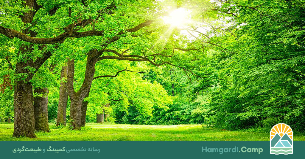 زندگی ساده در طبیعت: بازگشت به اصل و تجربه آرامش واقعی