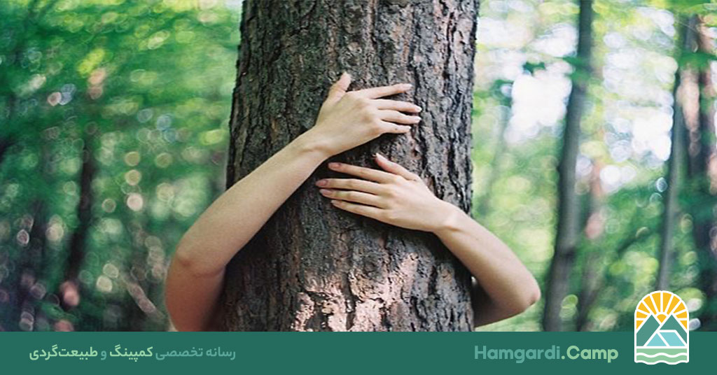 تاثیر طبیعت بر ذهن: آرامش، شفا و رشد روانی