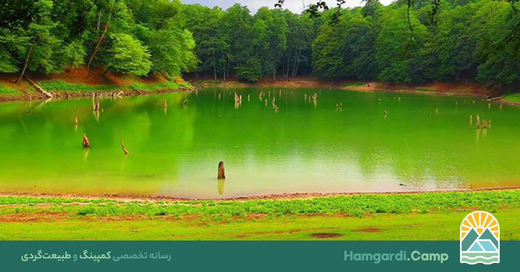 طبیعت گردی در شمال؛ تجربه‌ای بی‌نظیر در دل طبیعت سرسبز ایران