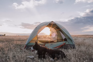 فروشگاه‌ آنلاین وسایل کمپینگ