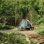 کمپینگ در جنگل‌های شمال
